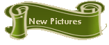 New Pictures